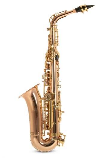 Eb-Alto Saxophone Roy Benson AS202G AS-202G Roy Benson woodwind instruments