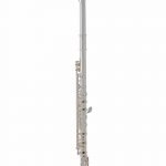 Flute Roy Benson FL-402R FL-402R Roy Benson woodwind instruments