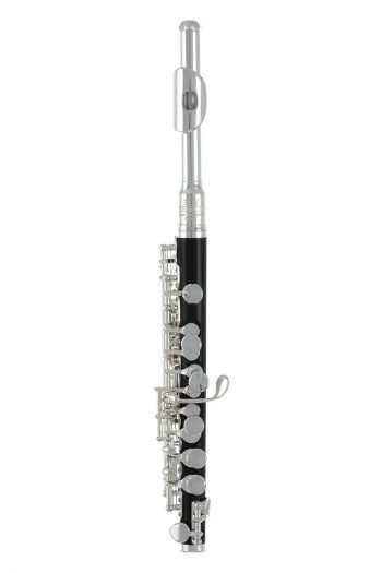 Piccolo flute Roy Benson PC-502 PC-502 Roy Benson woodwind instruments