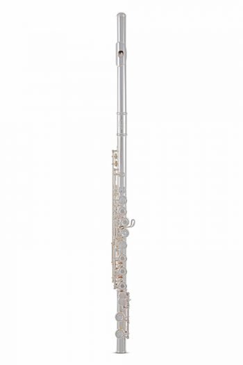 Flute Roy Benson FL-602RE FL-602RE Roy Benson woodwind instruments