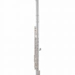 Flute Roy Benson FL-602RI FL-602RI Roy Benson woodwind instruments