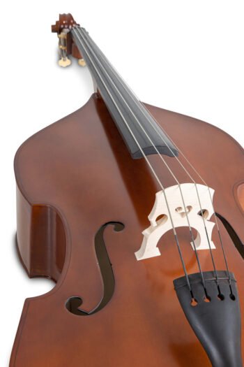 Double bass Basic Line - Laminated version 4/4 Double basses / E-double basses - Image 3