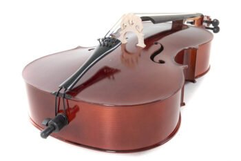 Cello outfit HW 1/2 - set-up made in German GEWA workshop Cello sets / E-Cellos - Image 2