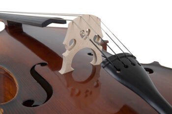 Double bass Basic Line Solid Version 4/4 Double basses / E-double basses - Image 2