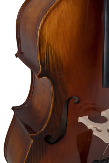 Double bass Basic Line Solid Version 4/4 Double basses / E-double basses