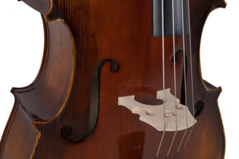 Double bass Basic Line Solid Version 1/2 Double basses / E-double basses - Image 3
