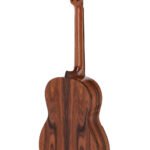 ACADEMIA Series Santos Pavo Real Spruce/Santos Manuel Rodriguez classical guitars