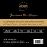 E-Bass Strings Unique studio golden strings 5-str. long sc. Strings for E-Bass