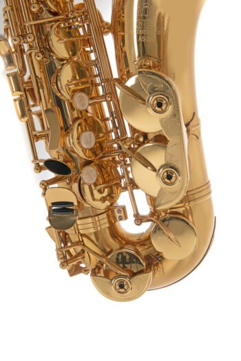 Eb-Alto Saxophone Roy Benson AS-202 AS-202 Roy Benson woodwind instruments - Image 4
