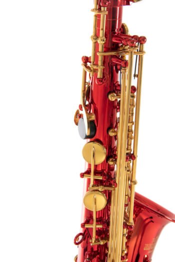 Eb-Alto Saxophone Roy Benson AS-202R AS-202R Roy Benson woodwind instruments - Image 4