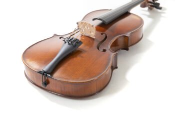 Concert viola Germania Model Prag antique 39,5 cm Violas - Image 2