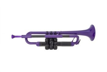 Trumpet Purple pBone - Image 3