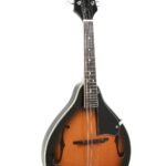 Mandolin A-1 Select Sunburst TENNESSEE & VGS Mandolins
