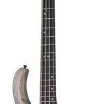 RIOT-4  SIB Schecter