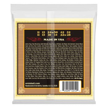 2012 Earthwood Medium 12-String 80/20 Bronze Acoustic Guitar Strings - 11-28 Gauge Ernie Ball - Image 2