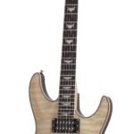 OMEN EXTREME-6 GNAT Schecter