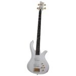 FREEZESICLE-4 MWHT Schecter
