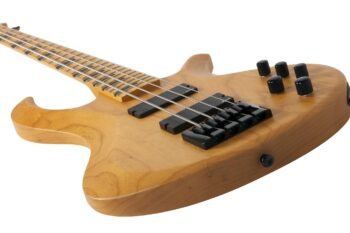 2852 RIOT SESSION-4 ANS Schecter - Image 4