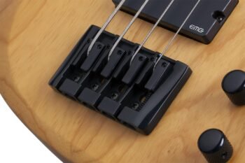 2852 RIOT SESSION-4 ANS Schecter - Image 5