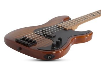 P-4 EXOTIC EXOTIC Schecter - Image 2
