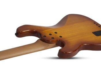 P-4 EXOTIC EXOTIC Schecter - Image 3