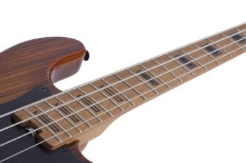 P-4 EXOTIC EXOTIC Schecter - Image 4