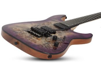 C-6 FR PRO  ARB Schecter - Image 2
