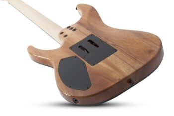 C-6 FR PRO  ARB Schecter - Image 4