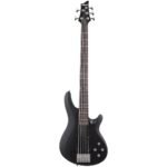 C-5 DELUXE SBK Schecter