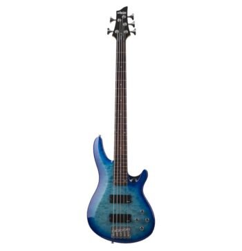 C-5 PLUS OBB Schecter
