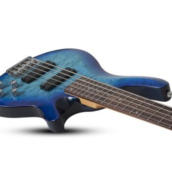 C-5 PLUS OBB Schecter - Image 3