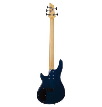 C-5 PLUS OBB Schecter - Image 6