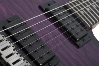 PT PRO TPB w/Ebony fretboard Schecter - Image 4