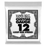 1312 .012 Loop End Stainless Steel Plain Banjo or Mandolin Guitar Single String Ernie Ball