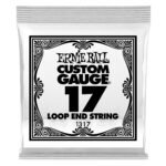 1317 .017 Loop End Stainless Steel Plain Banjo or Mandolin Guitar Single String Ernie Ball