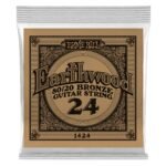 1424 .024 Earthwood 80/20 Bronze Acoustic Guitar Strings Single Ernie Ball