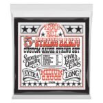 2309 Medium 5-String Loop End Stainless Steel Banjo Guitar Strings - 10-10 Gauge Ernie Ball