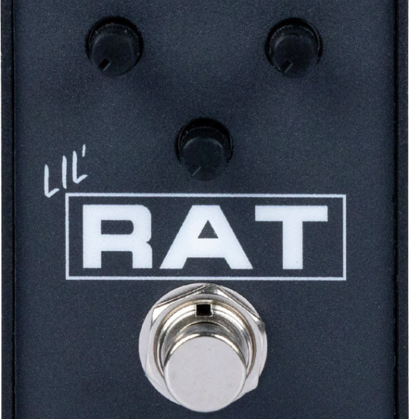 PROCO LIL'RAT product photo