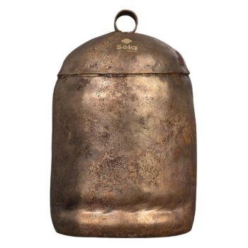 Harmony Noah‘s Bell Size 13 (10.5") in D4 Sela - Image 2